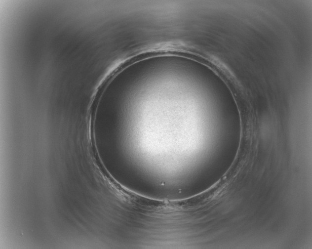 X0000067521224200604150151