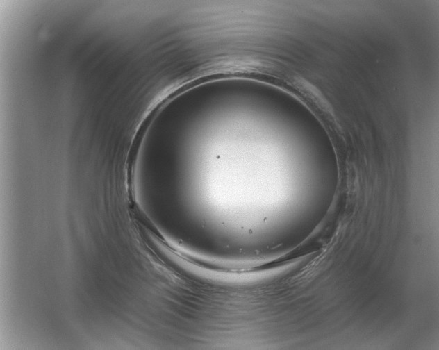 X0000067521226200604150151