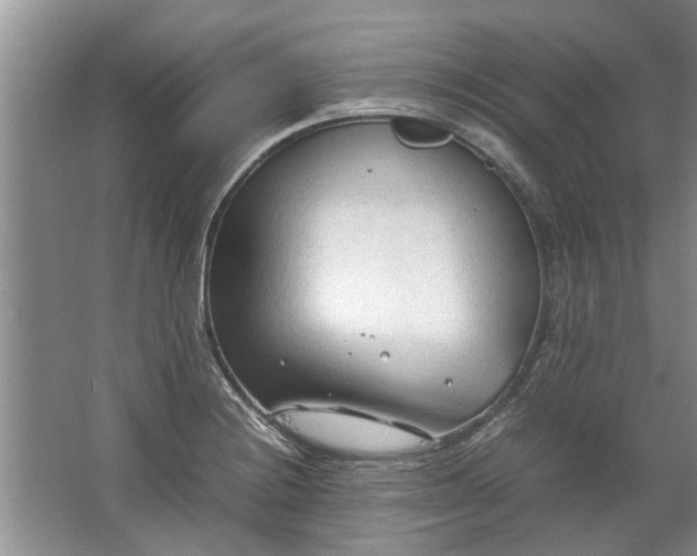 X0000067521228200604150151