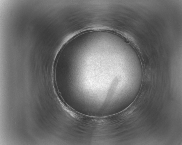 X0000067521231200604150151