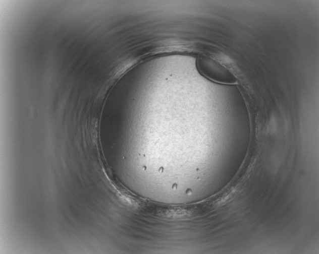 X0000067521233200604150151