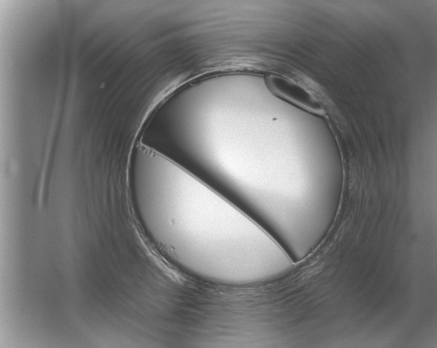 X0000067521234200604150151