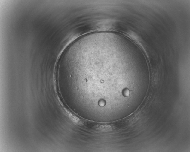 X0000067521235200604150151