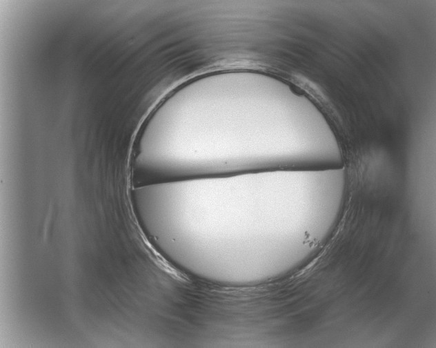 X0000067521236200604150151