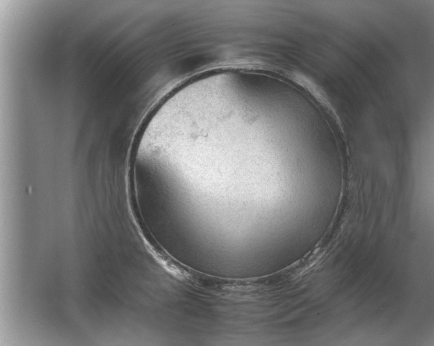 X0000067521237200604150151