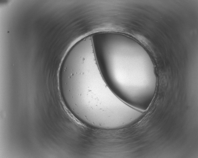 X0000067521238200604150151