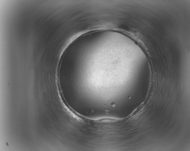 X0000067521239200604150151