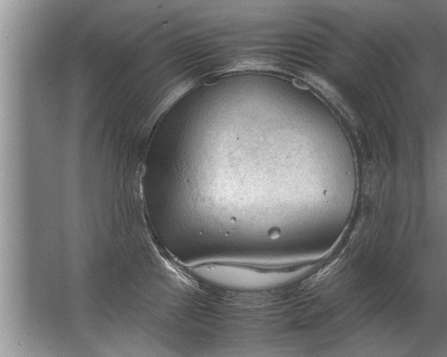 X0000067521241200604150151