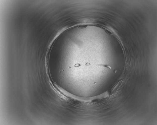 X0000067521243200604150151