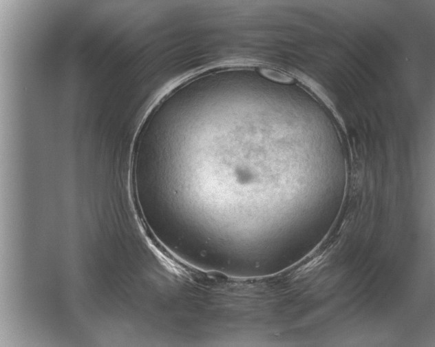 X0000067521245200604150151