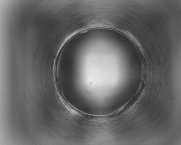 X0000067521246200604150152