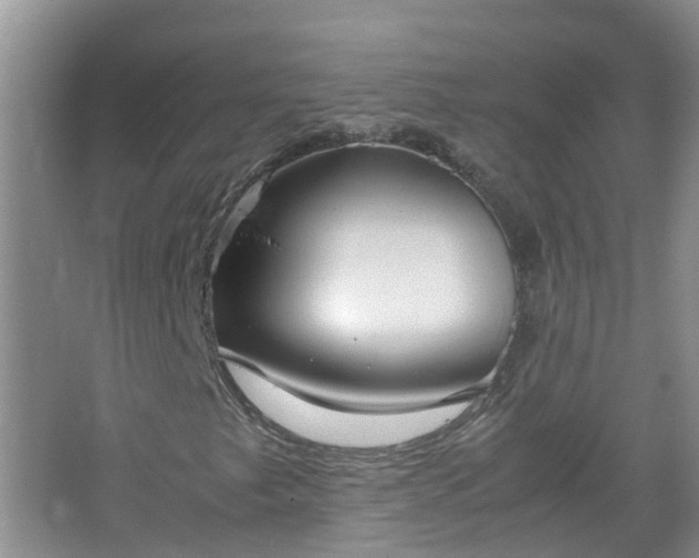 X0000067521249200604150151