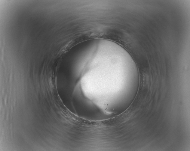 X0000067521250200604150151