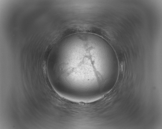 X0000067521251200604150151