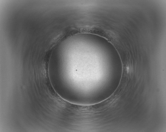 X0000067521252200604150151