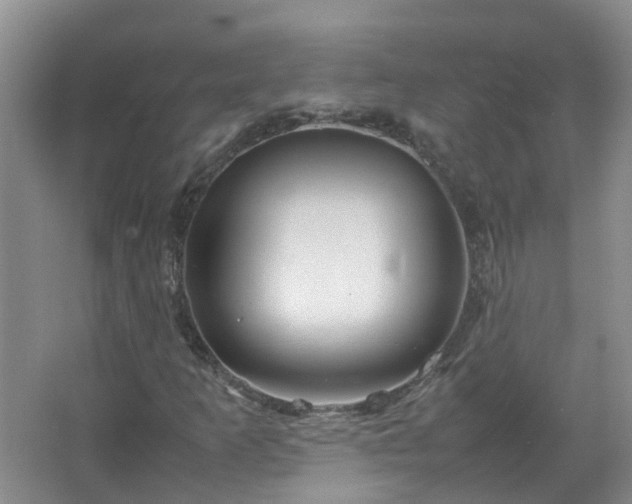 X0000067521253200604150151