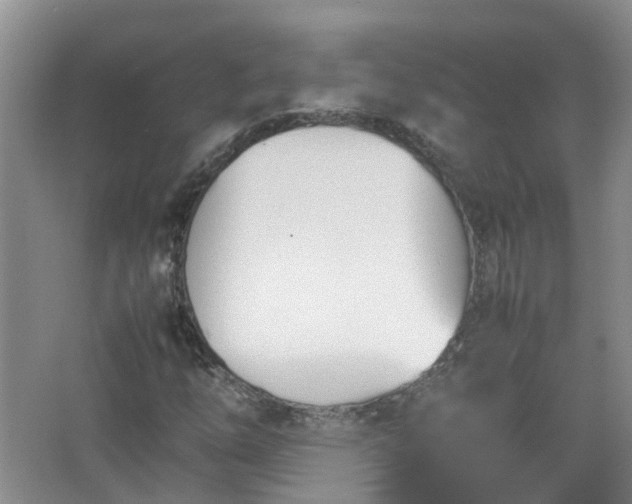 X0000067521254200604150151