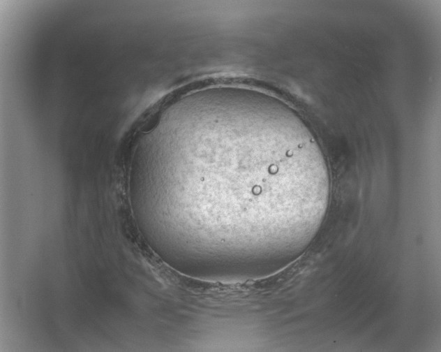 X0000067521255200604150151