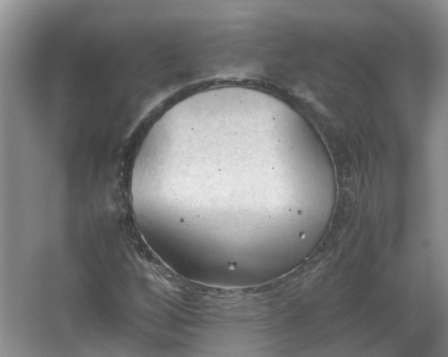 X0000067521256200604150151