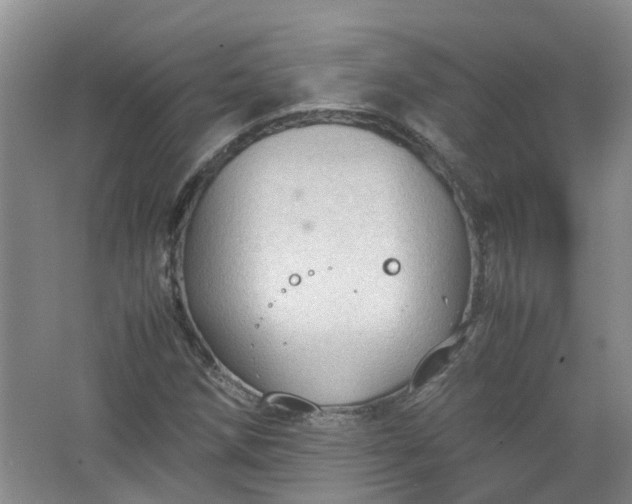 X0000067521258200604150151