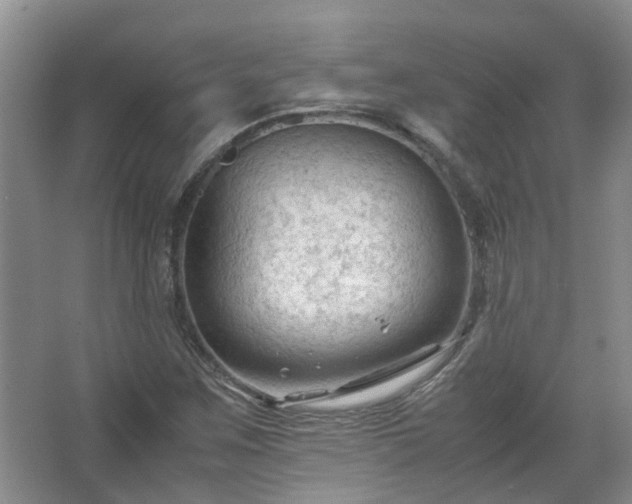 X0000067521259200604150151