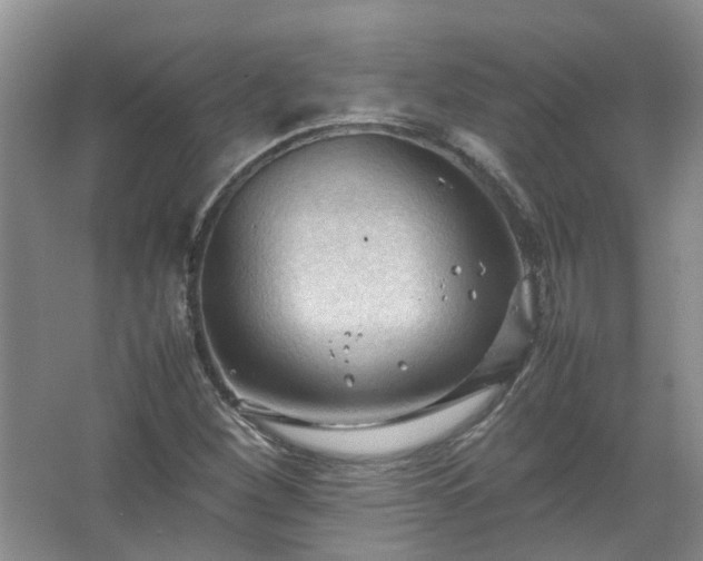 X0000067521260200604150151