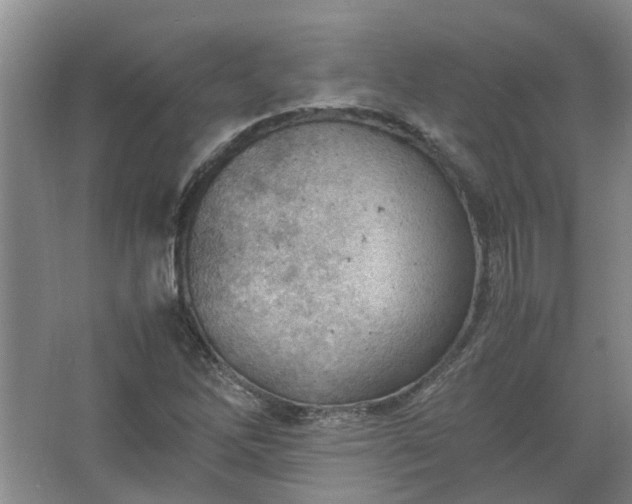 X0000067521262200604150151