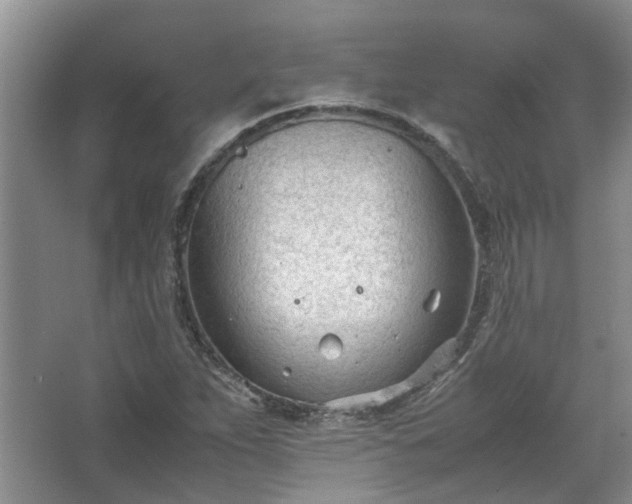 X0000067521263200604150151