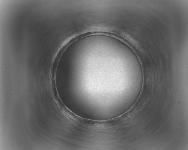 X0000067521264200604150150