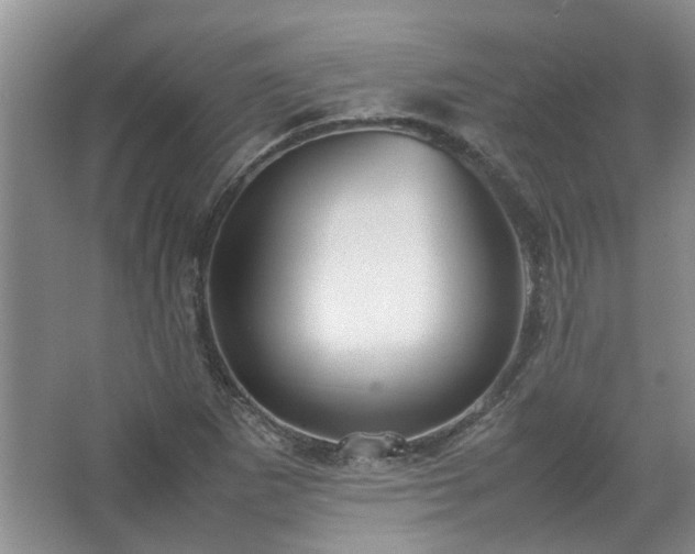 X0000067521265200604150150