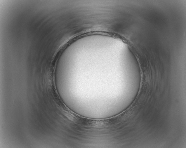 X0000067521266200604150150