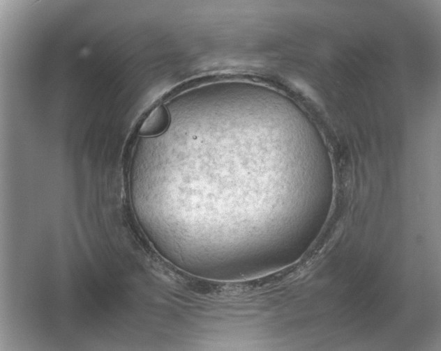 X0000067521267200604150150