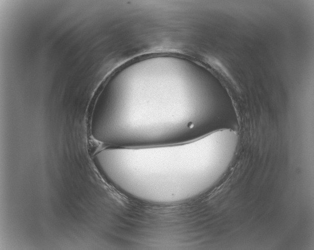 X0000067521268200604150150