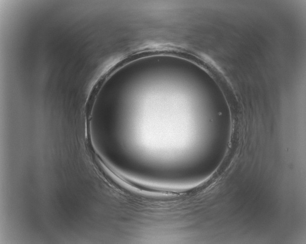 X0000067521269200604150150