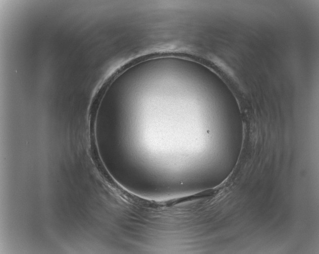 X0000067521270200604150150