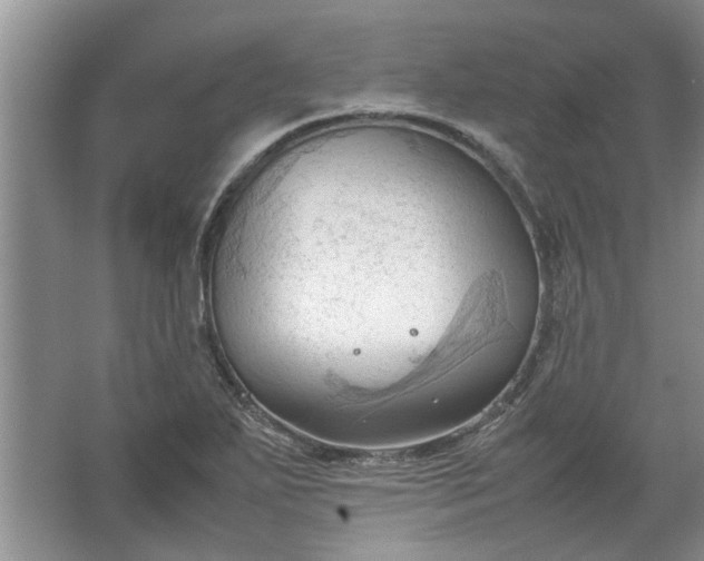 X0000067521271200604150150