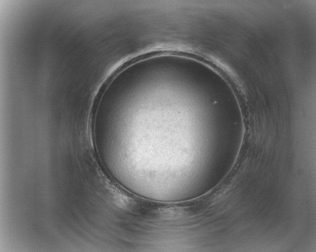 X0000067521272200604150150