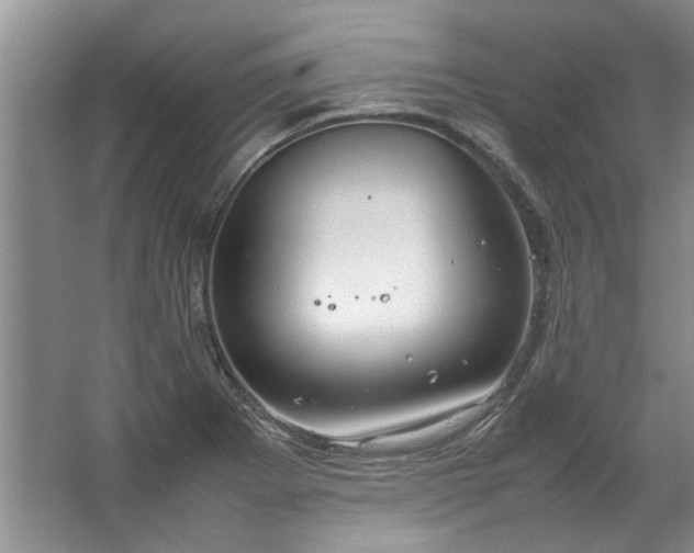 X0000067521273200604150150