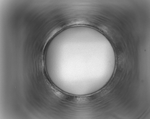 X0000067521274200604150150