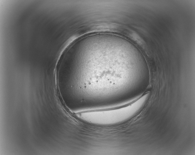 X0000067521275200604150150