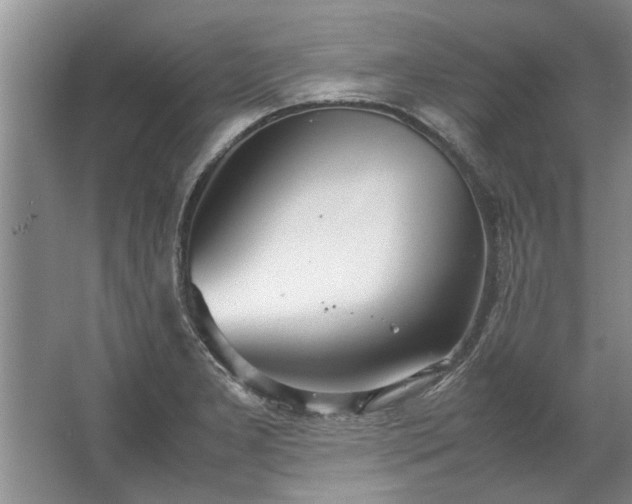 X0000067521277200604150150