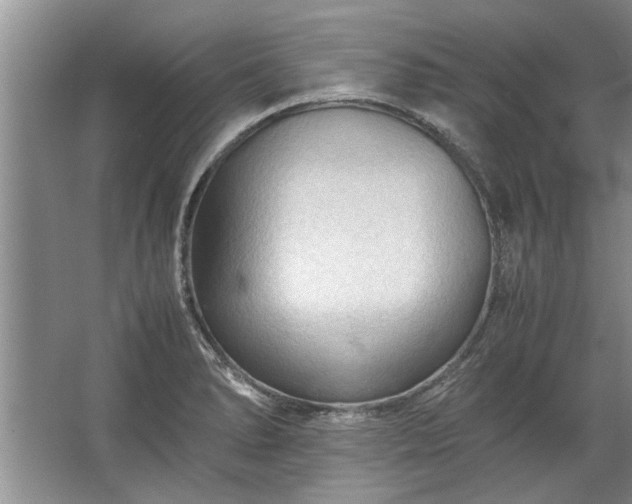 X0000067521278200604150150