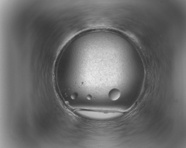 X0000067521279200604150150