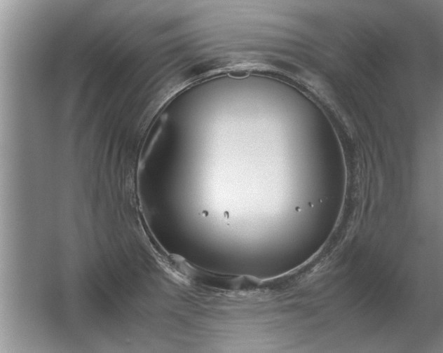 X0000067521281200604150150