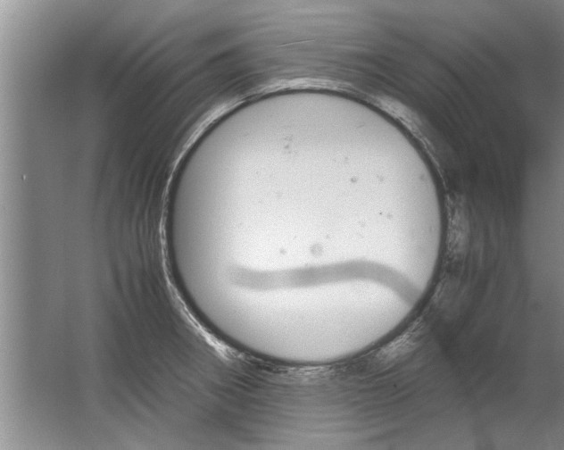 X0000067521282200604150150