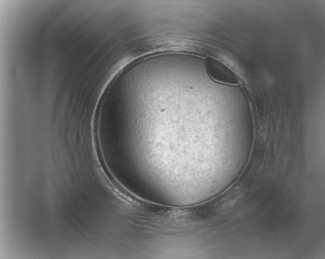 X0000067521283200604150150