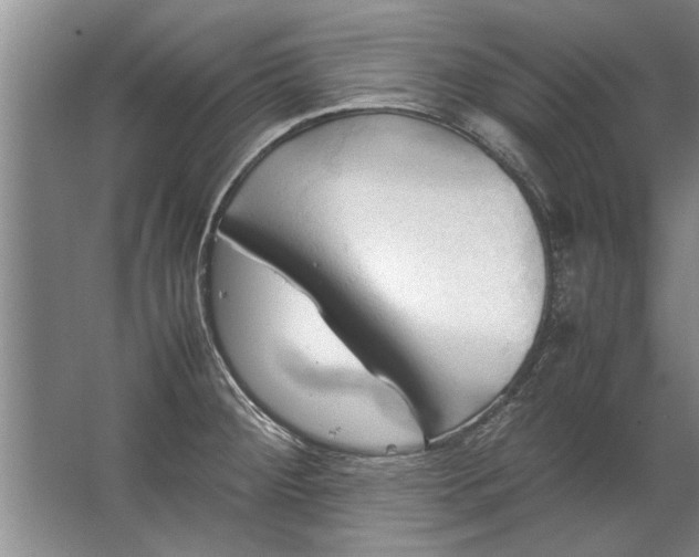 X0000067521284200604150150