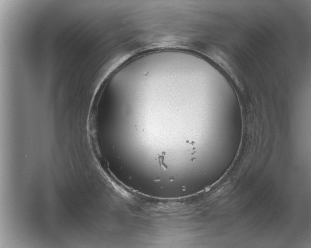 X0000067521285200604150150