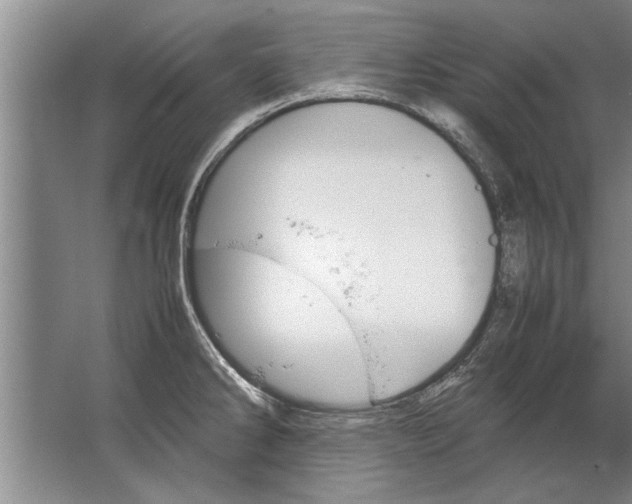 X0000067521286200604150150