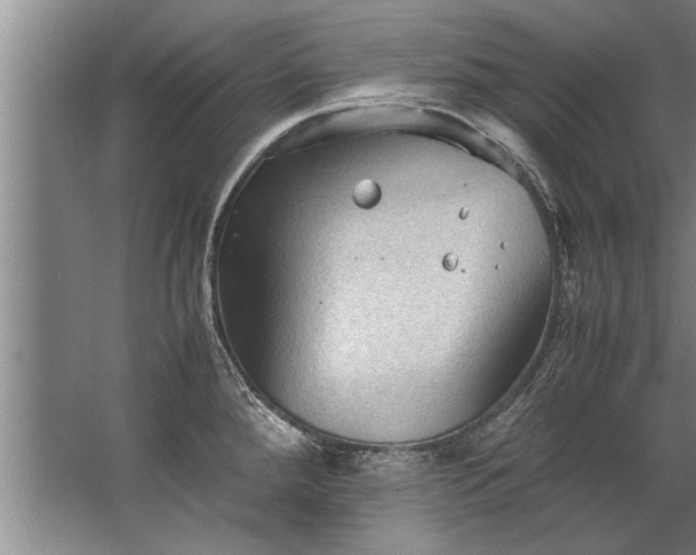 X0000067521288200604150150